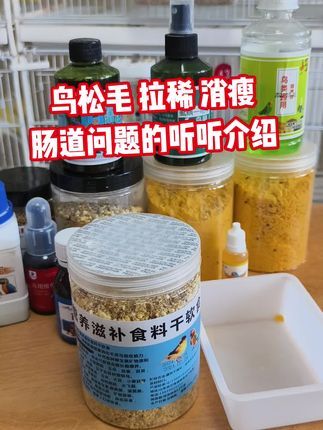 徐家玉鸟:鸟儿肠道健康问题如果有消瘦打蔫水便的可以试试咱们家干软食滋补食料整理鸟儿肠道健康平衡。#芙蓉鸟 #鸟类 #鹦鹉 #小鸟 #鸟粮
