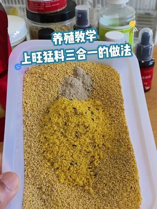 徐家玉鸟:三合一上旺猛料单公上旺的来吧#鹦鹉#鸟类 #金丝雀 #芙蓉鸟 #小鸟