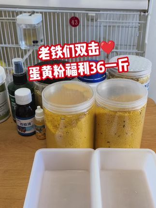 徐家玉鸟:老铁们来个双击领福利国庆期间蛋黄粉一斤36元#芙蓉鸟 #鹦鹉 #鸟类 #观赏鸟 #蛋黄粉
