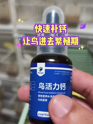 徐家玉鸟:繁殖前一定给鸟儿补充钙质直接对水饮用。#鸟类 #金丝雀 #鹦鹉 #小鸟 #玉鸟