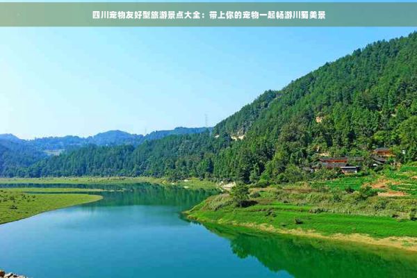 四川宠物友好型旅游景点大全：带上你的宠物一起畅游川蜀美景