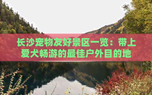 长沙宠物友好景区一览：带上爱犬畅游的更佳户外目的地