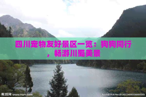 四川宠物友好景区一览：狗狗同行，畅游川蜀美景