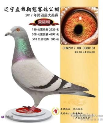 辽宁翔冠决赛306名