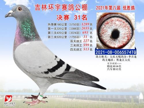 吉林环宇公棚决赛31名