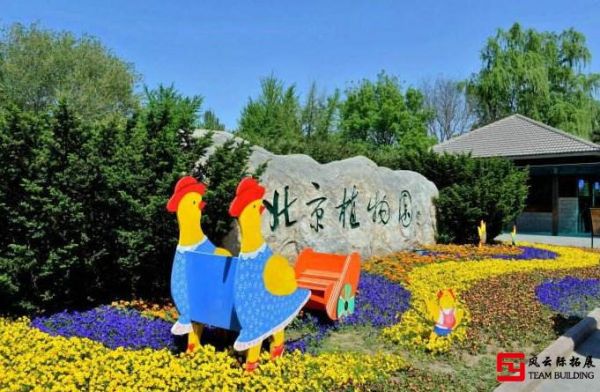 风云际植树拓展活动