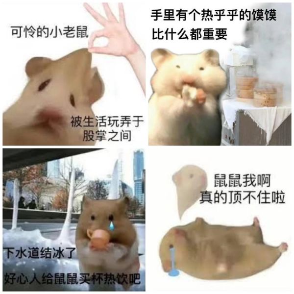 图源：网络