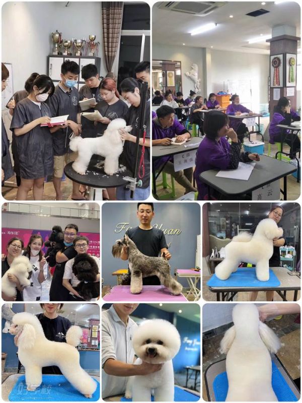 学员风采欣赏