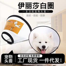 伊丽莎白圈狗狗猫咪项圈脖套绝育防舔防咬耻辱圈宠物头套头罩用品