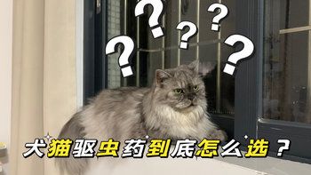 犬猫驱虫药到底怎么选？