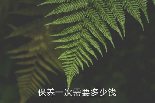 保养一次需要多少钱