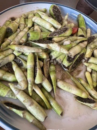 油炒饭，超爱这口，快去复刻