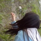 安妮