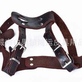 宠物用品油皮狗狗胸背雪橇犬牛皮胸带拳师杜宾罗威纳大型犬用