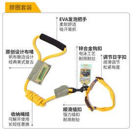 Touchdog它狗狗牵引绳伸缩狗链项圈式小中大型犬遛狗宠物用品