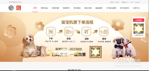 宠物托运的流程是什么