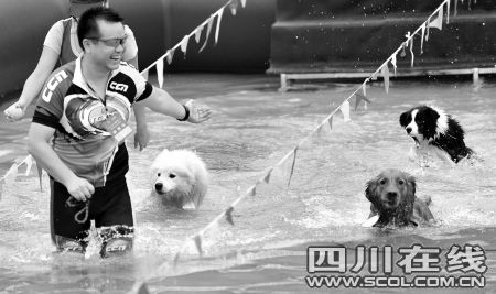 宠物乐园开张人不买票狗买票