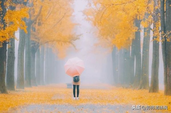 “啥，4种专业拍摄模式？”带你玩转单反相机（图文详解篇）