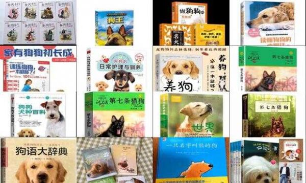 狗狗书籍txt全本