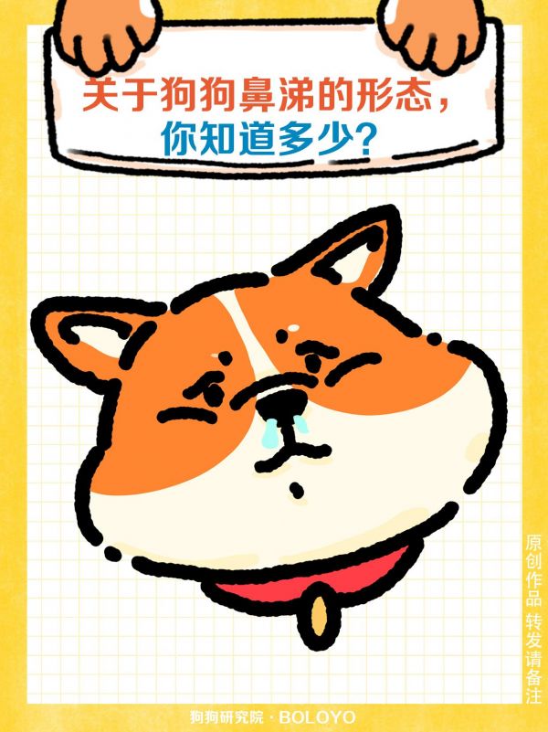关于狗狗鼻涕形态，你知道多少？#科学养宠攻略 #养狗经验分享 #狗狗 #狗狗鼻涕 #狗狗生病