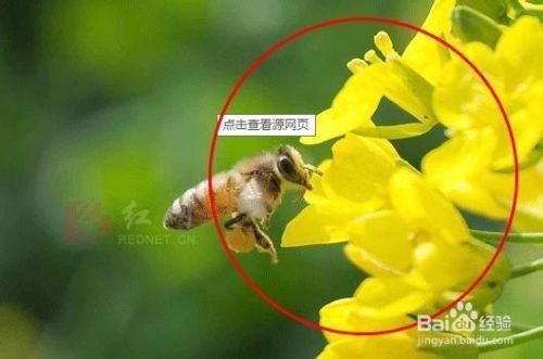 面部皮肤过敏怎么治？