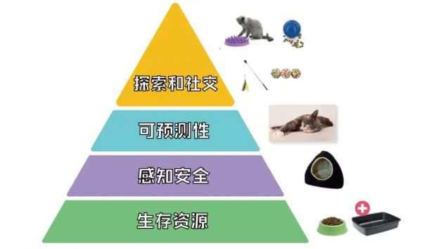 图片6561.png