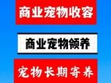 宠物收容所赠送领养 动物收容机构 动物收养中心 宠物收容站
