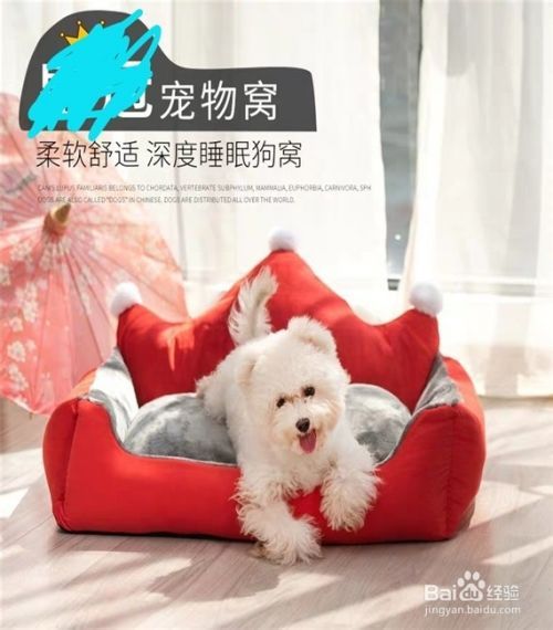 如何选购狗狗沙发狗窝