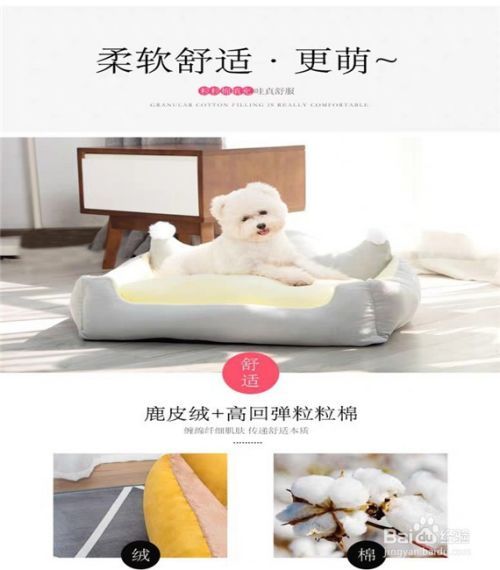 如何选购狗狗沙发狗窝