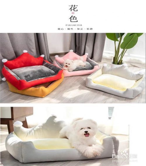 如何选购狗狗沙发狗窝