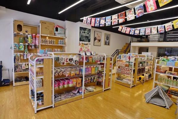 怎么知道宠物店正不正规?教你几招判断技巧