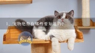 宠物绝育有哪些要知道的？