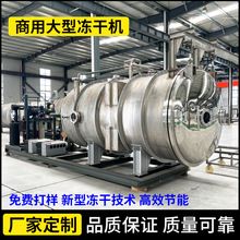 宠物食品真空冷冻干燥机 大中小型低温脱水冻干设备 果蔬冻干机