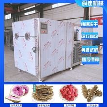果蔬低温真空冻干机宠物粮食品真空冷冻干燥机昆虫低温冻干机