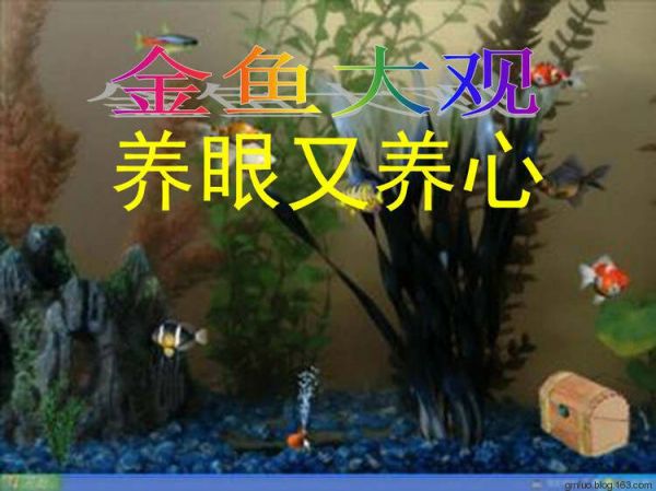 金 鱼 大 观 - 老教授 - 老教授