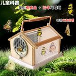 真蝴蝶蛹活体可孵化放飞儿童科普礼物饲养观察小昆虫宠物认主
