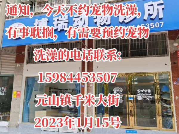 通知，今天不约宠物洗澡，有事耽搁，有需要预约宠物洗澡的电话联系:15984453507 元山镇千米大街 2023年1月15号