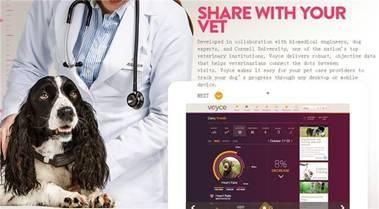 终于找到了一款有用的宠物智能产品, 多功能作用征服了狗狗