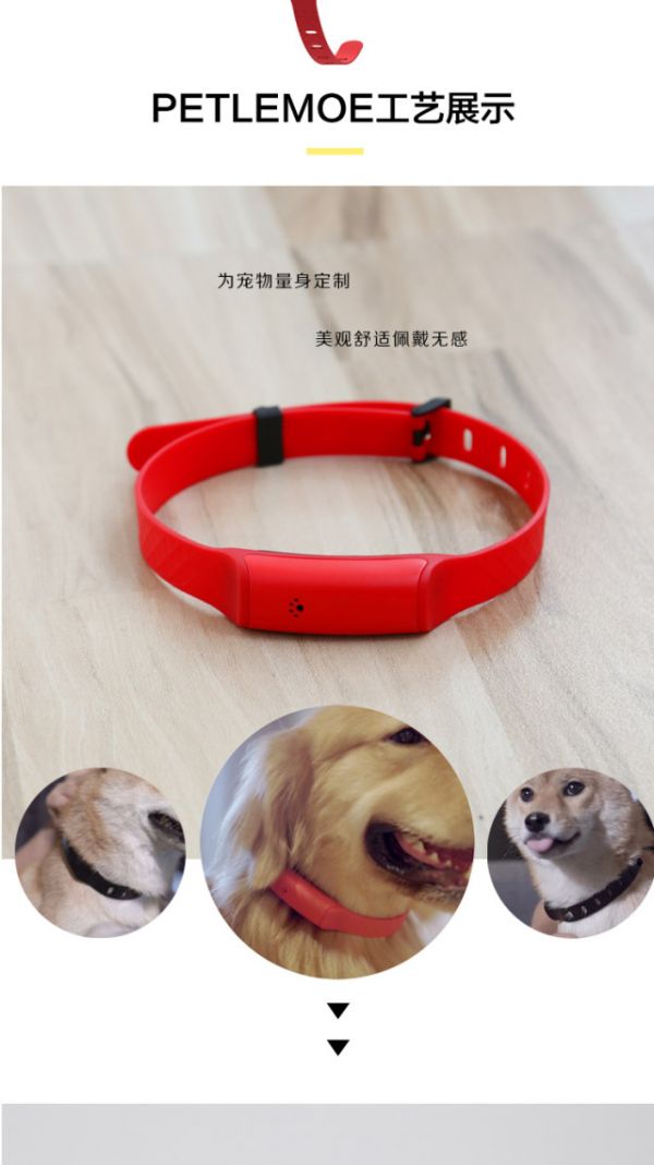 PetLemoeGPS定位宠物智能项圈