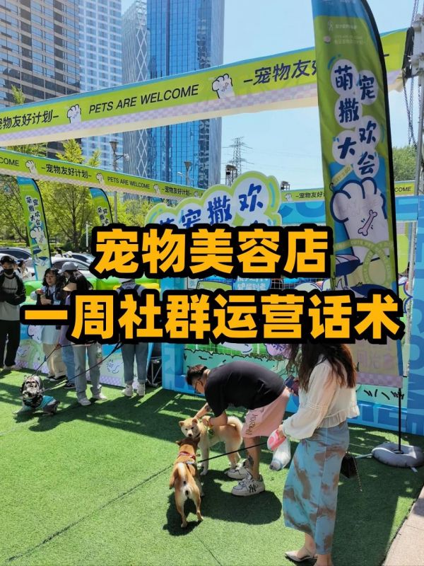 宠物美容店一周社群运营话术。#宠物美容 #社群营销 #宠物美容师培训 #宠物美容培训学校推荐 #宠物美容