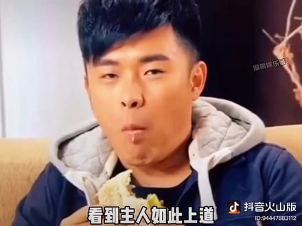 #科学养宠攻略 #愿每个小狗都能遇见好的主人 #动物趣事