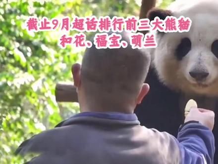 截止9月超话排行榜前三大熊猫:和花、福宝、萌兰#大熊猫和花#大熊猫福宝#大熊猫萌兰#熊猫