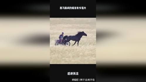 黑马瞬间的爆发有多强大