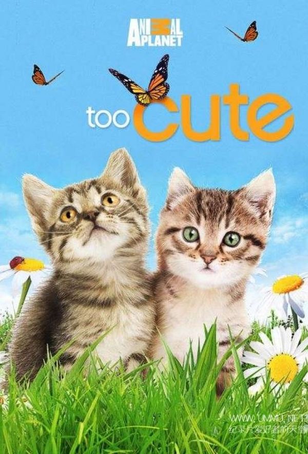 too-cute