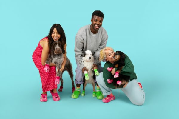 Crocs Crocs 太会玩了！宠物洞洞鞋你见过吗？
