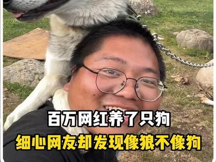 捡了一只狗，结果越养越不对劲？#动物的迷惑行为 #狗狗的心思都写在脸上了 #养狗的乐趣