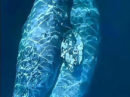 海洋里的流氓，找其他物种杂交，杂交后代还能生育 #动物科普 #深海巨物 #海洋知识讲解
