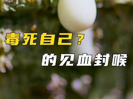 动植物两界都在用毒，一个毒死自己，一个毒活后代 #动物世界 #动物科普 #植物科普 #纪录片 #万物生长