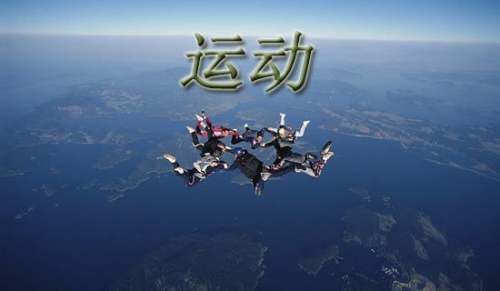 中班探索活动：动物们的运动