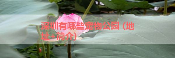 IMG_5987.png